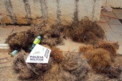 PMA apreende 18 redes durante fiscalizacao em Luz-MG