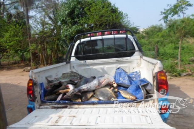 PMA  apreende 185 kg de pescado e multa pescador profissional em R$ 4 mil em MS