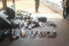 PMA apreende 195 kg de pescado e prende desembargador por pesca predatoria no MT 5