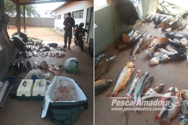 PMA apreende 207 kg de pescado e prende desembargador por pesca predatória no MT