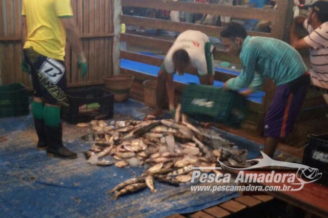PMA apreende 2 toneladas de pescado ilegal nos últimos dois meses no Amapá
