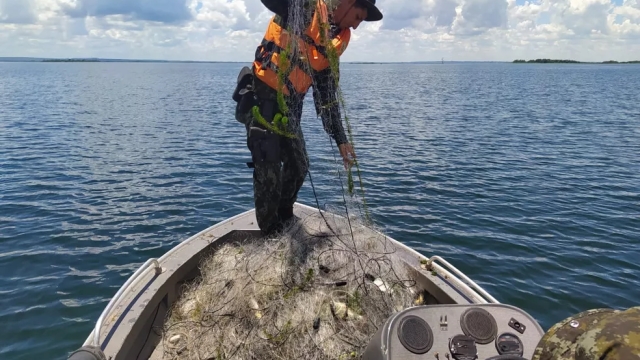 Pma Apreende 2 450 Metros De Redes De Pesca No Rio Parana Em Panorama Sp Portal Pesca Amadora Esportiva