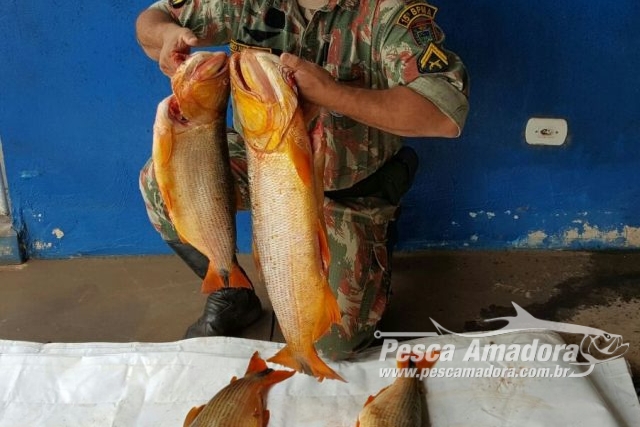 PMA apreende 20 kg de pescado ilegal do Rio Amambai-MS