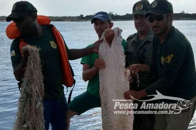 PMA apreende 200 kg de pescado e 270 m de redes em operação no Tocantins