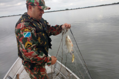 PMA apreende 200 metros de redes durante fiscalizacao no Rio Baia em MS