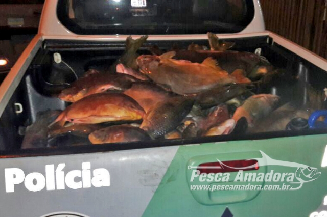 PMA apreende 208 kg de pescado e multa casal em R$ 19.440 por pesca ilegal em Paulicéia-SP
