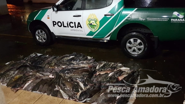 PMA apreende 232 kg de pescado ilegal no Parque Nacional do Iguaçu (PR)
