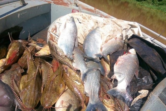 PMA apreende 25 kg de peixes e 200 metros de rede no lago de Itaipu no PR