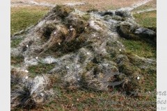 PMA apreende 2km de redes no MS