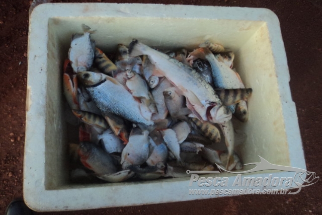 PMA apreende 300m de redes e 25 kg de pescado ilegal em Tocantins