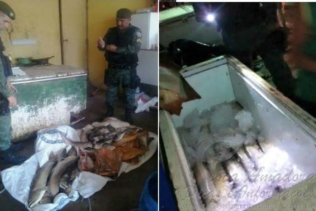 PMA apreende 360 kg de arunã pescados no defeso em Manaus-AM