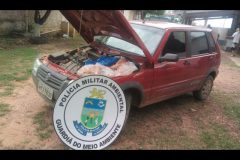 pma-apreende-37-kg-de-file-de-pescado-ilegal-e-autua-estudante-em-r-4-mil-no-ms