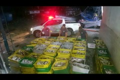 PMA apreende 4 toneladas de pescado ilegal em area restrita em Guaruja-SP