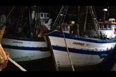 PMA apreende 4 toneladas de pescado ilegal em area restrita em Guaruja-SP 3