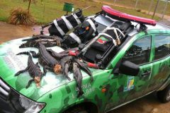 pma-apreende-40-kg-de-pescado-ilegal-jacares-e-arbaletes-no-tocantins-3