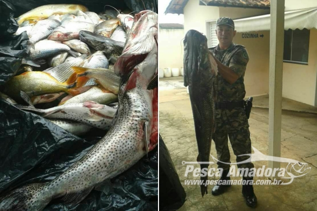 PMA apreende 410 kg de pescado ilegal no Rio São Marcos em GO