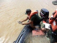 PMA apreende 420m de redes no ES