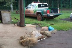 PMA apreende 475 m de redes durante fiscalizacao no Parana
