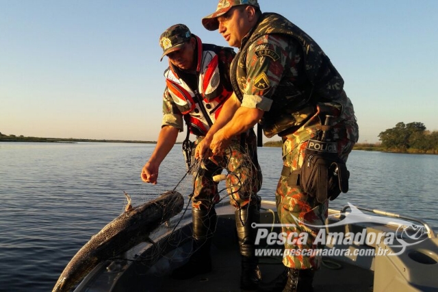 PMA apreende 500 metros de redes e liberta peixes no rio Paraná em MS
