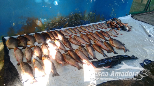 PMA apreende 60 kg de pescado e autua pescadores por pesca predatória no rio Taquari (MS)