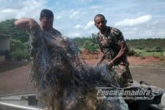 PMA apreende 600 m de redes e devolve 20 kg de peixes no Rio Parana-MS
