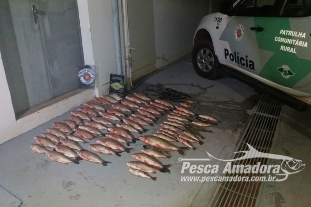 PMA apreende 70 kg de pescado ilegal e multa infrator em R$ 4,2 mil em Meridiano (SP)