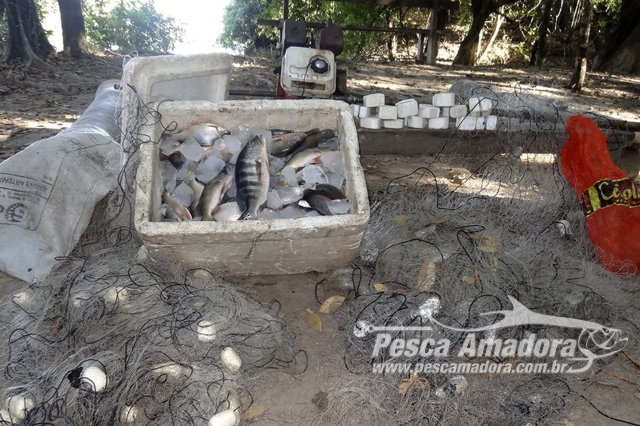 PMA apreende 75 kg de pescado e 440 metros de redes durante fiscalização no Tocantins