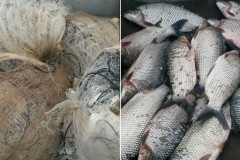 PMA apreende 90 kg de pescado e redes no Lago Serra di Facao-GO 3
