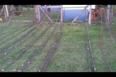 pma-apreende-900-metros-de-redes-escondidas-em-mata-do-parque-das-varzeas-do-ivinhema-em-ms