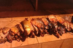 pma-apreende-92-kg-de-pescado-ilegal-e-aplica-r-2-800-em-multas-em-campo-grande-ms