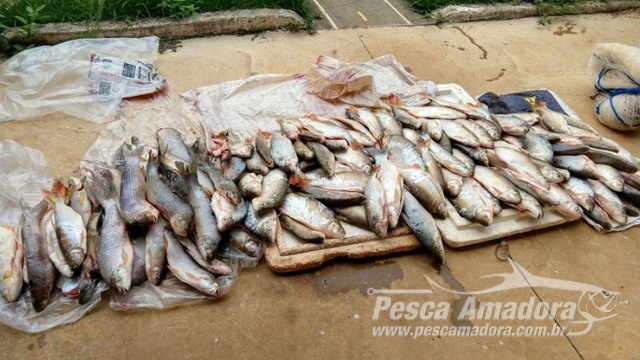 PMA apreende 96 kg de pescado ilegal oriundos de pesca ilegal no rio da Prata (MG)