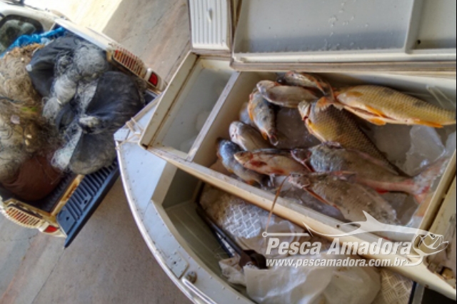 PMA apreende 98 kg de pescado ilegal e 2.445 metros de redes em Presidente Epitácio-SP