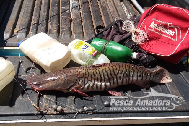 PMA apreende anzol de galho e pescado ilegal durante fiscalização no Rio Aquidauana em MS