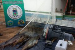pma-apreende-barco-motor-e-62-kg-de-pescado-durante-fiscalizacao-no-rio-miranda-ms