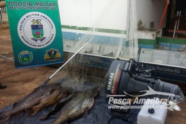 PMA apreende 62 kg de pescado durante fiscalização no Rio Miranda-MS