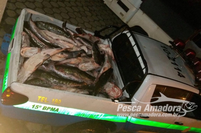 PMA apreende barco pesqueiro indígena com mais de 1 tonelada de pescado ilegal no Pantanal