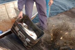 PMA apreende casal com redes e pescado ilegal em usina hidreletrica em SP