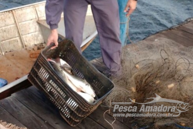 PMA apreende casal com redes e pescado ilegal em usina hidrelétrica em SP
