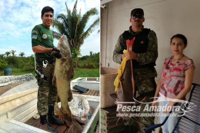 PMA apreende cerca de 180 kg de pescado ilegal no Rio Madeira em RO