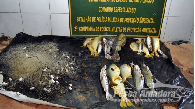 PMA apreende cerca de 190 kg de pescado ilegal em Rondonópolis (MT)