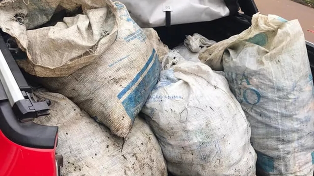 PMA apreende cerca de 300 kg de pescado ilegal no Amapá