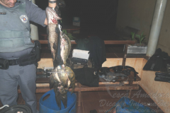 PMA apreende dois por pesca ilegal durante a piracema no Rio Grande-SP