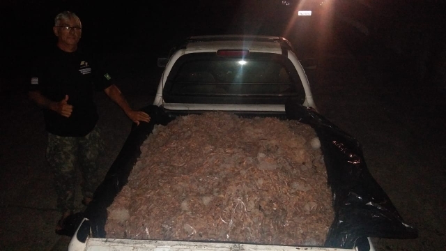 PMA apreende duas toneladas de camarão em área protegida no litoral Sul de SP