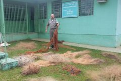 pma-apreende-espinheis-17-redes-de-pesca-no-rio-passo-fundo-no-rs