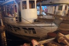 PMA apreende mais de duas toneladas de tambaqui ilegal em Manaus-AM 2