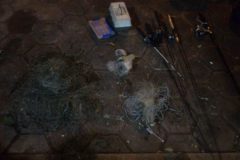 pma-apreende-material-predatorio-e-prende-dois-homens-por-pescailegal-no-rio-parana