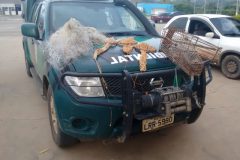 pma-apreende-material-utilizado-na-pesca-predatoria-no-rio-muriae