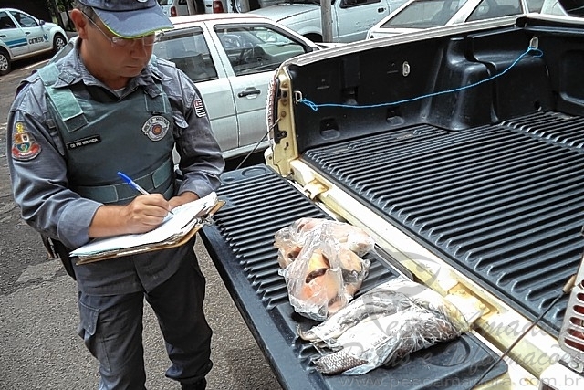 PMA apreende peixes durante fiscalização no rio Tietê-SP