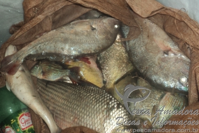 PMA apreende pescado e 400 metros de redes no Rio Pardo-MS