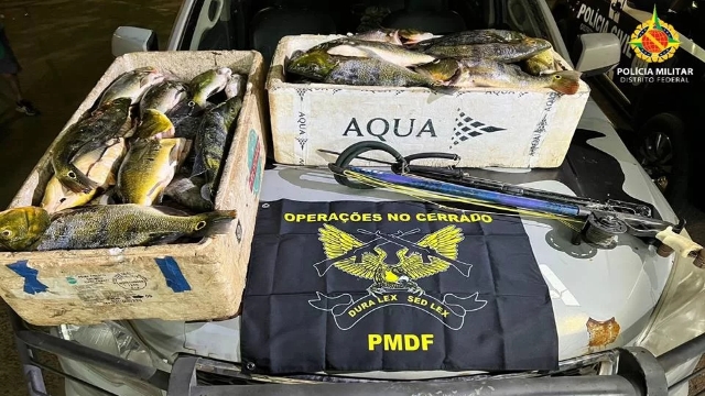 PMA apreende pescado e material ilegal de pesca em Recanto das Emas (DF)